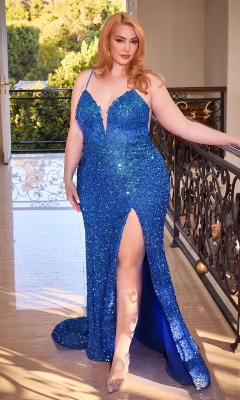 Long Plus-Size Formal Dress Cd840C by Ladivine